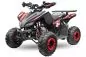 Preview: Nitro Motors Rizzo RS7-3G midi Quad 125cc 7 Zoll Semi- Automatik +RG Kinderquad Atv Platin Line