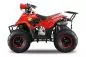 Preview: 125cc BIGFOOT MIDI QUAD 7zoll Automatik + RG Preview: 125cc BIGFOOT MIDI QUAD 7zoll Automatik + RG