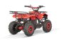 Preview: NITRO MOTORS 49cc mini Kinder Quad Torino Snowy-Profile L Sport 6"