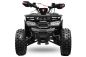 Preview: Rocco RS8-A midi Quad 125cc 8 Zoll Automatik + RG Kinderquad Atv Platin Line