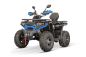 Preview: NITRO MOTORS 230cc maxi Quad Tricia CVT RS10 Platin inkl. Seilwinde