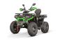 Preview: NITRO MOTORS 230cc maxi Quad Tricia CVT RS10 Platin inkl. Seilwinde