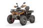 Preview: NITRO MOTORS 230cc maxi Quad Tricia CVT RS10 Platin inkl. Seilwinde