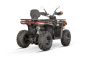 Preview: NITRO MOTORS 230cc maxi Quad Tricia CVT RS10 Platin inkl. Seilwinde