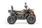 Preview: NITRO MOTORS 230cc maxi Quad Tricia CVT RS10 Platin inkl. Seilwinde