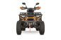 Preview: NITRO MOTORS 230cc maxi Quad Tricia CVT RS10 Platin inkl. Seilwinde