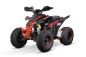 Preview: NITRO MOTORS 250cc maxi Quad Celavi RS10 4-Gang Manuell Platin