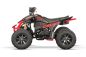 Preview: NITRO MOTORS 250cc maxi Quad Celavi RS10 4-Gang Manuell Platin Alu-Felge