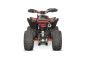 Preview: NITRO MOTORS 250cc maxi Quad Celavi RS10 4-Gang Manuell Platin Alu-Felge
