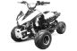 Preview: 125cc Panthera QUAD ATV 7zoll Automatik + RG