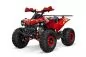 Preview: NITRO MOTORS 125cc midi Kinder Quad Warrior GS RS8-A Sport Preview: NITRO MOTORS 125cc midi Kinder Quad Warrior GS RS8-A Sport