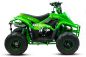 Preview: 125cc BIGFOOT MIDI QUAD 6" Light | Automatik