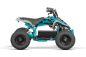 Preview: Nitro Motors 1000W 36V Eco Quad Python 6" Sport