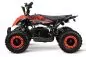 Preview: Replay Deluxe Eco mini Quad 1000W 36V 6 Zoll Quick Change Akkupack Preview: Replay Deluxe Eco mini Quad 1000W 36V 6 Zoll Quick Change Akkupack