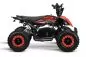Preview: Replay Deluxe Eco mini Quad 1000W 36V 6 Zoll Quick Change Akkupack Preview: Replay Deluxe Eco mini Quad 1000W 36V 6 Zoll Quick Change Akkupack
