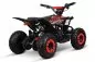 Preview: Replay Deluxe Eco mini Quad 1000W 36V 6 Zoll Quick Change Akkupack Preview: Replay Deluxe Eco mini Quad 1000W 36V 6 Zoll Quick Change Akkupack