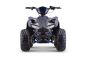 Preview: NITRO Quad Cooba 1200W 48V12Ah lead acid ATV