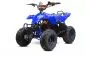 Preview: 1000W Eco Razer 48V Quad Elektroquad Midiquad Atv Kinderquad