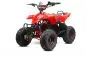 Preview: 1000W Eco Razer 48V Quad Elektroquad Midiquad Atv Kinderquad