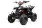 Preview: 800W ECO QUAD RAZER 36V | 12A | 6" Kinderquad