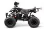 Preview: 1000W Eco Razer 48V Quad Elektroquad Midiquad Atv Kinderquad