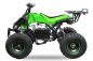 Preview: Nitro Motors Speedy Eco midi Quad 1000W S8 48V 8 Zoll Wellenantrieb mit Differential