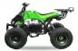 Preview: Nitro Motors Speedy Eco midi Quad 1000W S8 48V 8 Zoll Wellenantrieb mit Differential Preview: Nitro Motors Speedy Eco midi Quad 1000W S8 48V 8 Zoll Wellenantrieb mit Differential