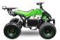 Preview: Nitro Motors Speedy Eco midi Quad 1000W S8 48V 8 Zoll Wellenantrieb mit Differential