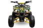 Preview: Toronto Eco Graffiti Version midi Quad 1000W S8 48V 8 Zoll Wellenantrieb mit Differential Atv