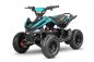 Preview: Nitro Motors Pyhton Cross Eco mini Quad 1000W 36V 6 Zoll