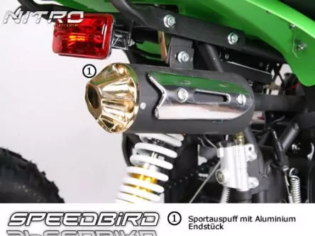 110cc SPEEDBIRD CXR 110 Deluxe MIDI QUAD Automatik + RG | 3 x Bremse