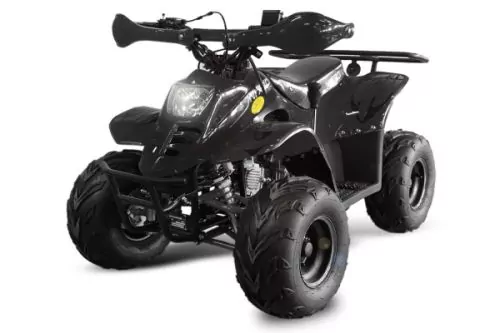 125cc BIGFOOT MIDI QUAD 7zoll Automatik + RG