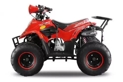 125cc BIGFOOT MIDI QUAD 7zoll Automatik + RG