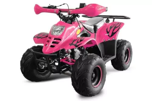 125cc BIGFOOT MIDI QUAD 7zoll Automatik + RG