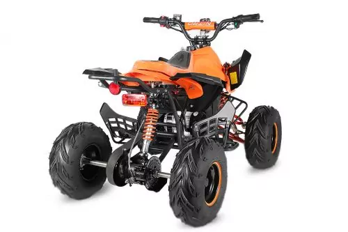 1000W Eco 48V Speedy Quad Elektroquad Midiquad Atv Kinderquad