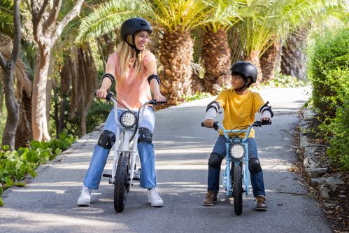 Nitro Motors E-Dirtbike 250W 24V MINI RETRO BIKE HC Sport 2