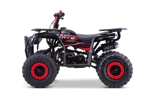 49cc mini Kinder Quad Acanto BTF Tire XL DLX 6"