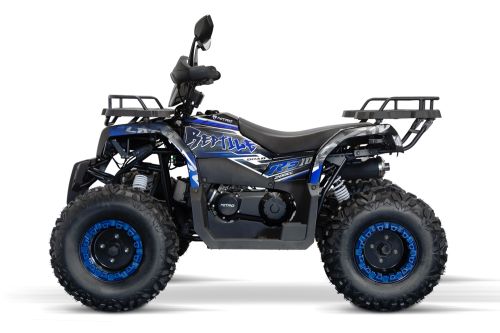 NITRO MOTORS 200cc maxi Kinder Quad Reptile RS10-CVT Platin