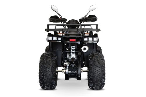NITRO MOTORS 200cc maxi Kinder Quad Reptile RS10-CVT Platin