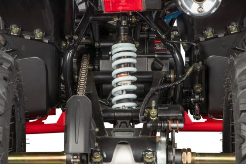 NITRO MOTORS 250cc maxi Quad Celavi RS10 4-Gang Manuell Platin Alu-Felge