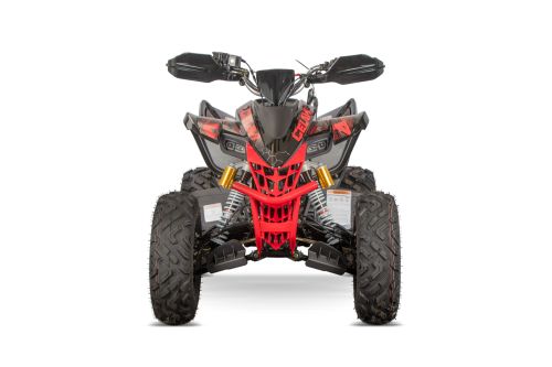 NITRO MOTORS 250cc maxi Quad Celavi RS10 4-Gang Manuell Platin Alu-Felge