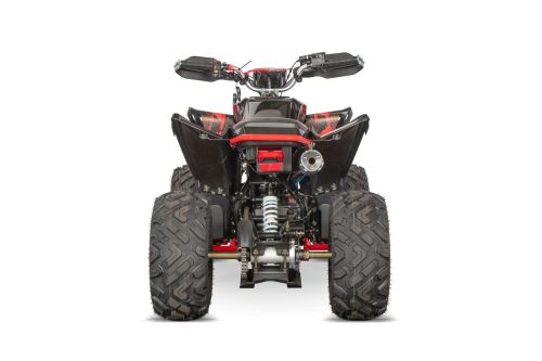 NITRO MOTORS 250cc maxi Quad Celavi RS10 4-Gang Manuell Platin Alu-Felge