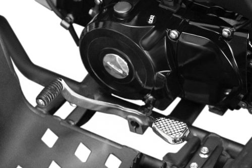 NITRO MOTORS 125cc midi Kinder Quad Speedy GS 3G8 Sport