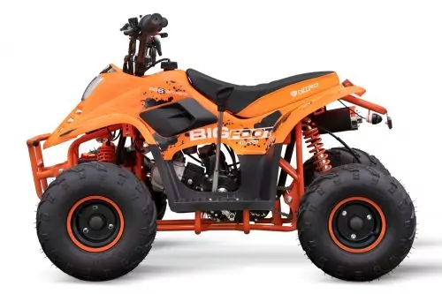 125cc BIGFOOT Light 6" Automatik + RG