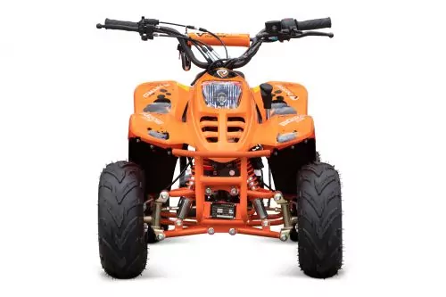 125cc BIGFOOT Light 6" Automatik + RG