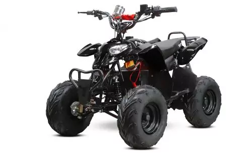800W ECO QUAD RAZER 36V | 12A | 6" Kinderquad