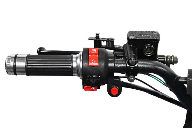 Warrior Eco Graffiti Version midi Quad 1000W S8 48V 8 Zoll Wellenantrieb mit Differential Atv Kinderquad