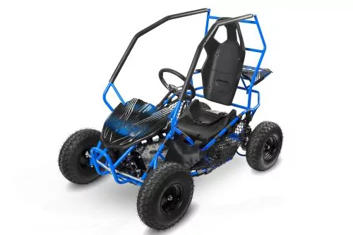 Nitro Motors Eco Gokart RACER 1000W 36V 2-Stufen Drossel Kinderbuggy Kinder-Quad