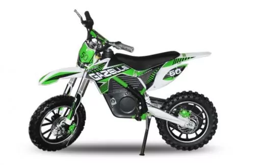 500W 36V Eco Gazelle Elektrobike Dirtbike Crossbike | Lithium Batterie