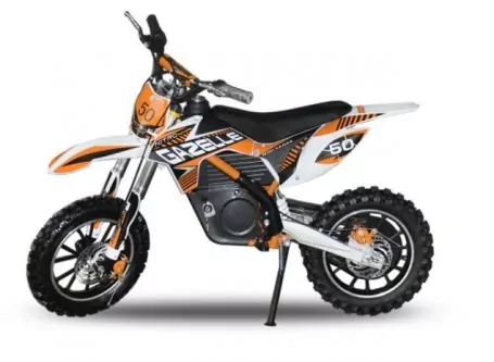 500W 36V Eco Gazelle Elektrobike Dirtbike Crossbike | Lithium Batterie